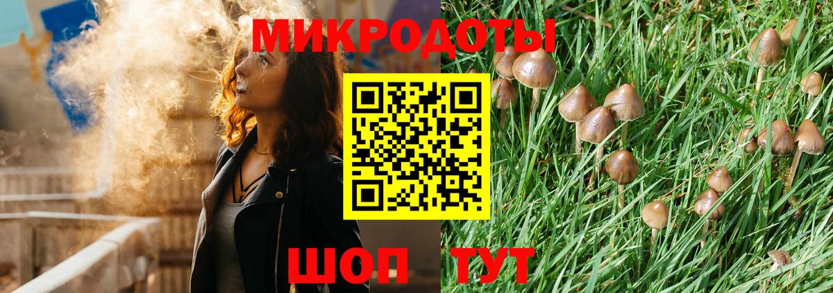 Галлюциногенные грибы Psilocybine cubensis Нарткала